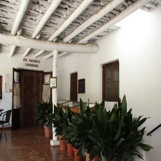 La Oveja Verde
