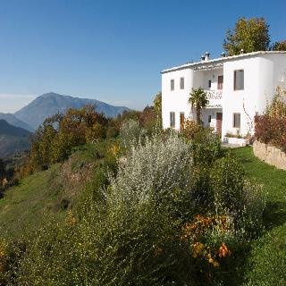 La Oveja Verde