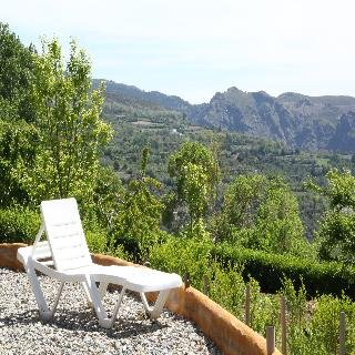 La Oveja Verde