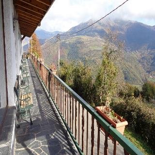 Terralta