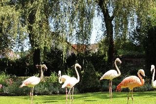 Parkhotel Krone Maleck