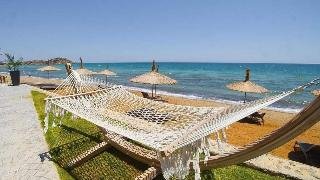Ardic Agaci Tatil Koyu
