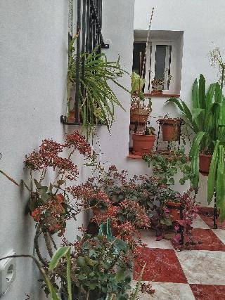 El Molino