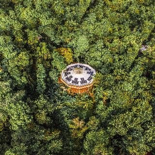 La Loma Jungle Lodge & Chocolate Farm