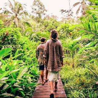 La Loma Jungle Lodge & Chocolate Farm