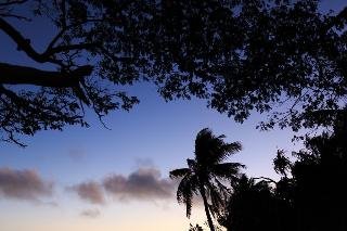 Funky Fish Beach & Surf Resort