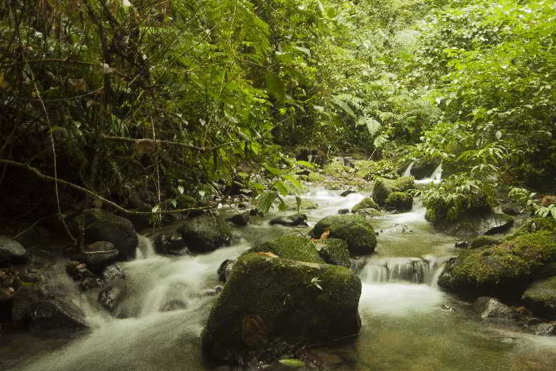 Arenal Waterfall Lodge