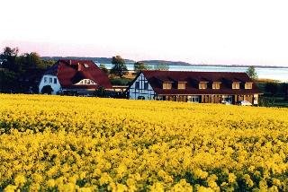 Hotel Der Wilde Schwan