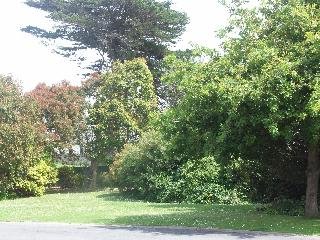 Melaleuca Motel