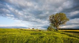 Palac Ciekocinko Hotel Resort & Wellness