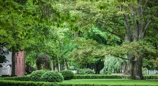 Palac Ciekocinko Hotel Resort & Wellness