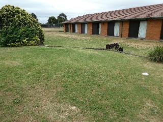 Berrigan Motel