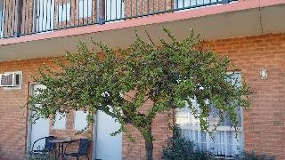 Bridge Motor Inn