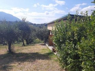 Il Girasole