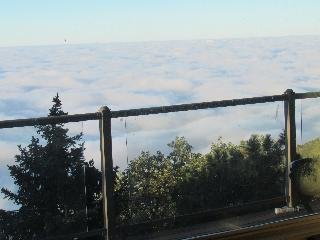 Sky Forest Inn