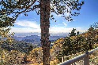 Sky Forest Inn