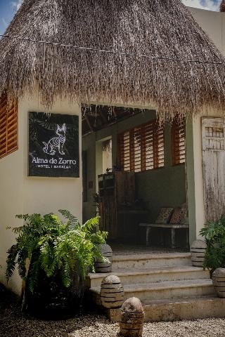 Alma de Zorro