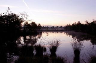 Egestorfer Hof