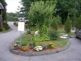 Cedar Park Inn & Whirlpool Suites