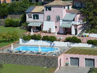 Rosmarino