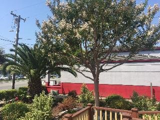 Hitching Post Studios Inn