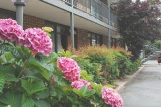 Red Cedars Motel