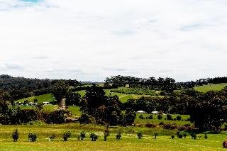 Karri Aura