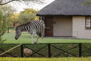 Mongena Private Game Lodge