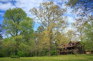 Tiffany's Bed and Breakfast