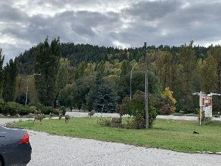 Greenwood Motel and RV Park