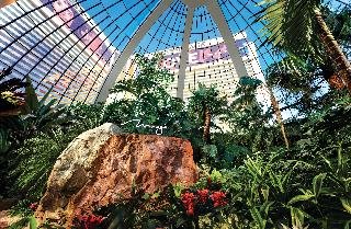 Hard Rock Las Vegas