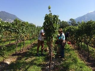Residence La Vigna