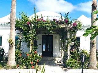 La Bougainvillea