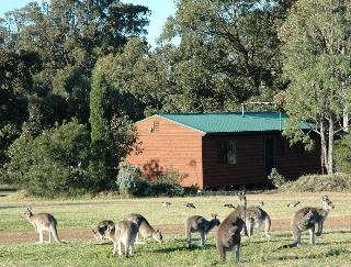 Hunter Hideaway Cottages