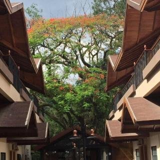 Hotel Aromas De Penedo