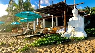 Posada Buda-Tortuga