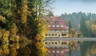 Waldsee