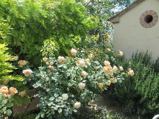 Locanda Le Boscarecce
