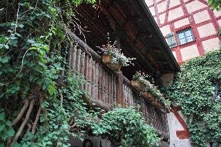 Der Schwan
