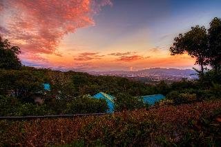 Buena Vista