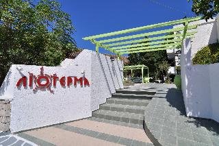 Liogerma