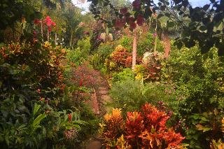 Eden Atenas