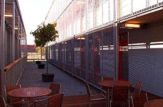 Orange Wings Krems