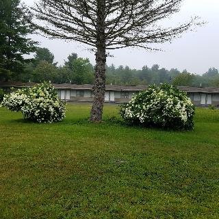 The Becket Motel