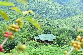 Santa Juana Lodge & Nature Reserve