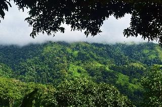 Santa Juana Lodge & Nature Reserve