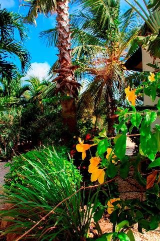 GOOOD Resort