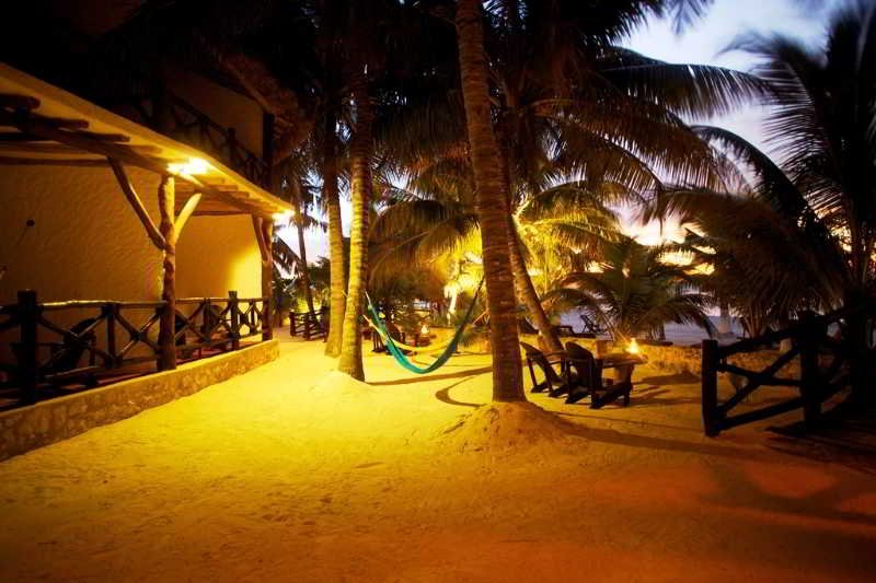 Beachfront Hotel La Palapa