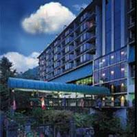 Edgewater Hotel - Gatlinburg