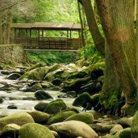 Brookside Resort by FairBridge